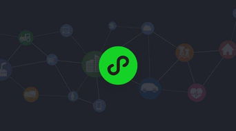 合肥野火信息科技 小程序如何整合線(xiàn)上線(xiàn)下資源